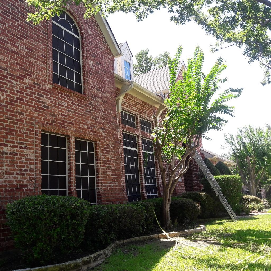 Tall arched windows on a brick Metroplex home, with a ladder at the gutter line