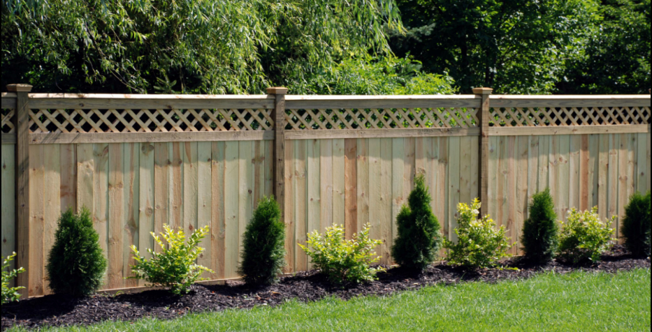 A new wooden privacy fence with a lattice top in a landscaped yard