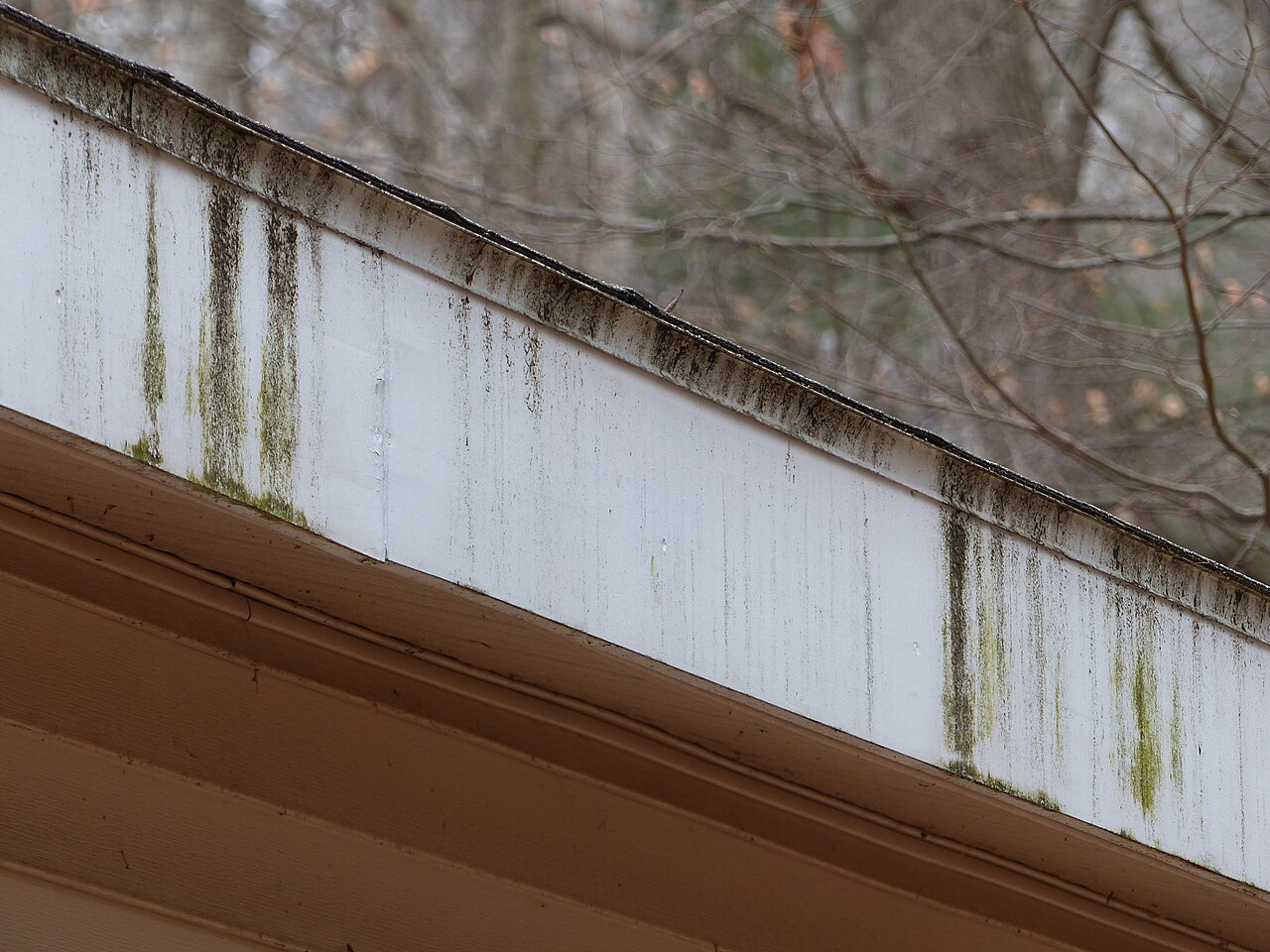 A stained, weathered gutter on a house